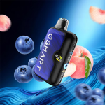OXBAR GSMART